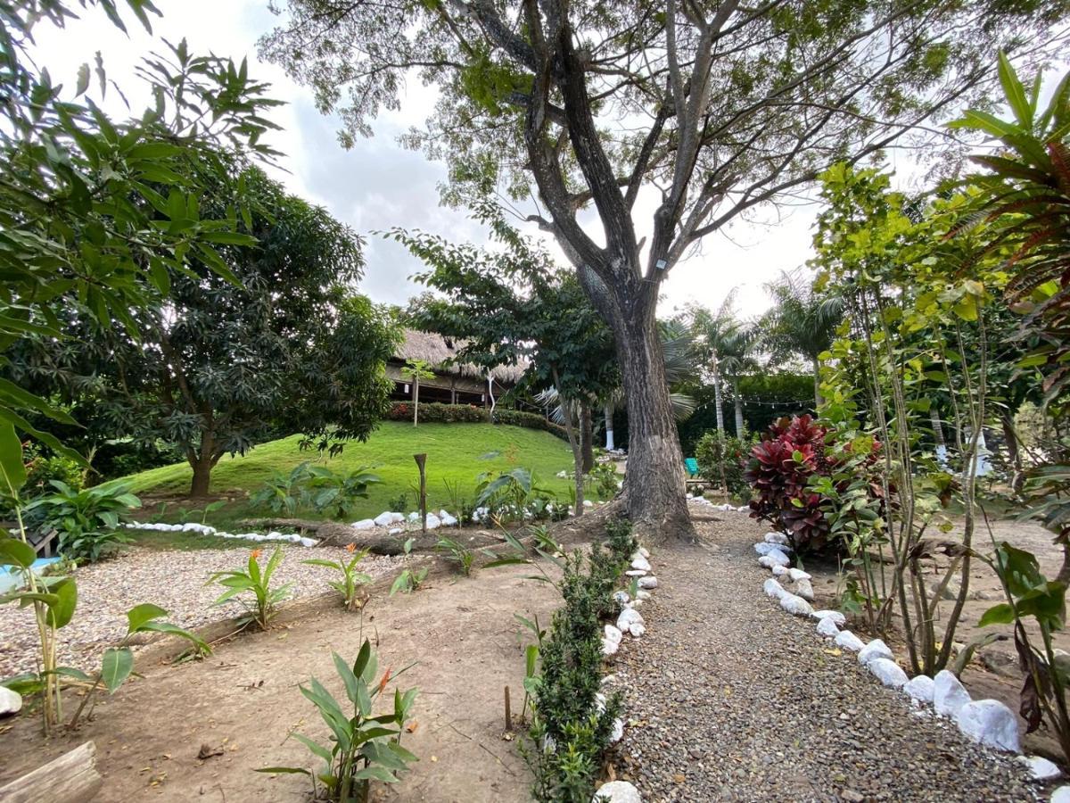 פאלומינו Bonita Hostel מראה חיצוני תמונה