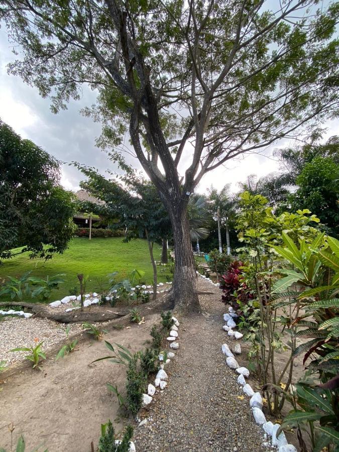 פאלומינו Bonita Hostel מראה חיצוני תמונה