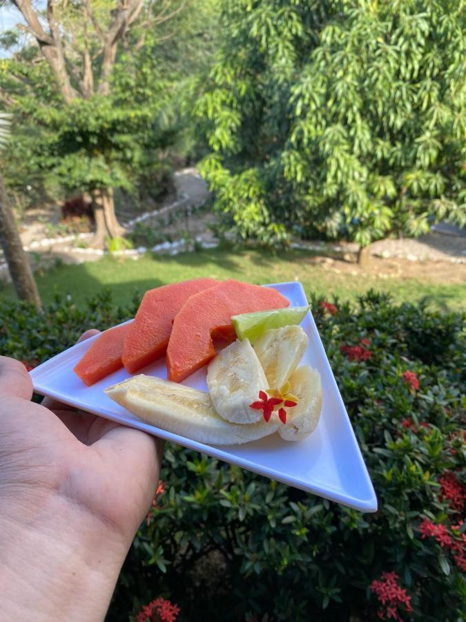 פאלומינו Bonita Hostel מראה חיצוני תמונה